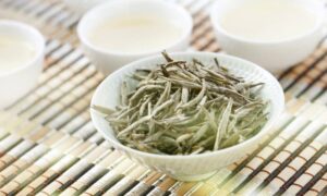 what is white tea - silver needle white tea - silver needle vs bai mu dan