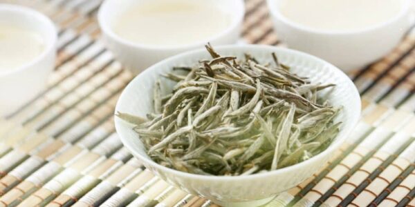 what is white tea