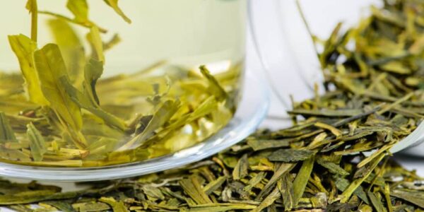 what is green tea - advantages of drinking green tea- is green tea good for you to drink- what is green tea good for- what are the benefits of green tea- what does green tea help with- what is the advantages of drinking green tea- what are the uses of drinking green tea- what does green tea taste like- what is good green tea- what does drinking green tea do for your body- what green tea do- what does green tea do- why is green tea good for us- what green tea does- why drinking green tea is good for you- what does green tea- why is drinking green tea good for you- what does green tea do to you- green tea that tastes good-best green tea to drink- healthiest green tea to drink- what green tea is good- what is best green tea to drink- best flavour of green tea- best green tea flavor- best flavor green tea