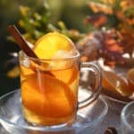 hot tea drink with orange slices and cinnamon teapro