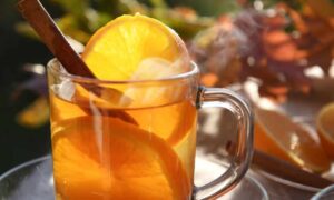 hot tea drink with orange slices and cinnamon teapro