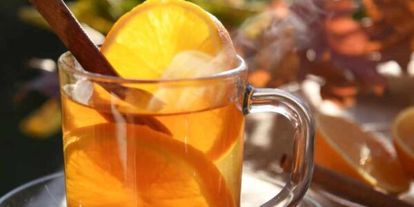 hot tea drink with orange slices and cinnamon teapro