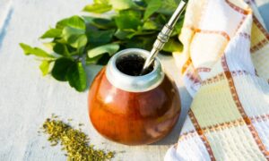 Yerba mate in gourd calabash with bombilla