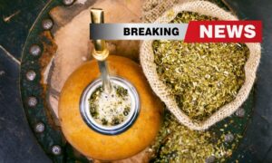 yerba mate love and football transfers