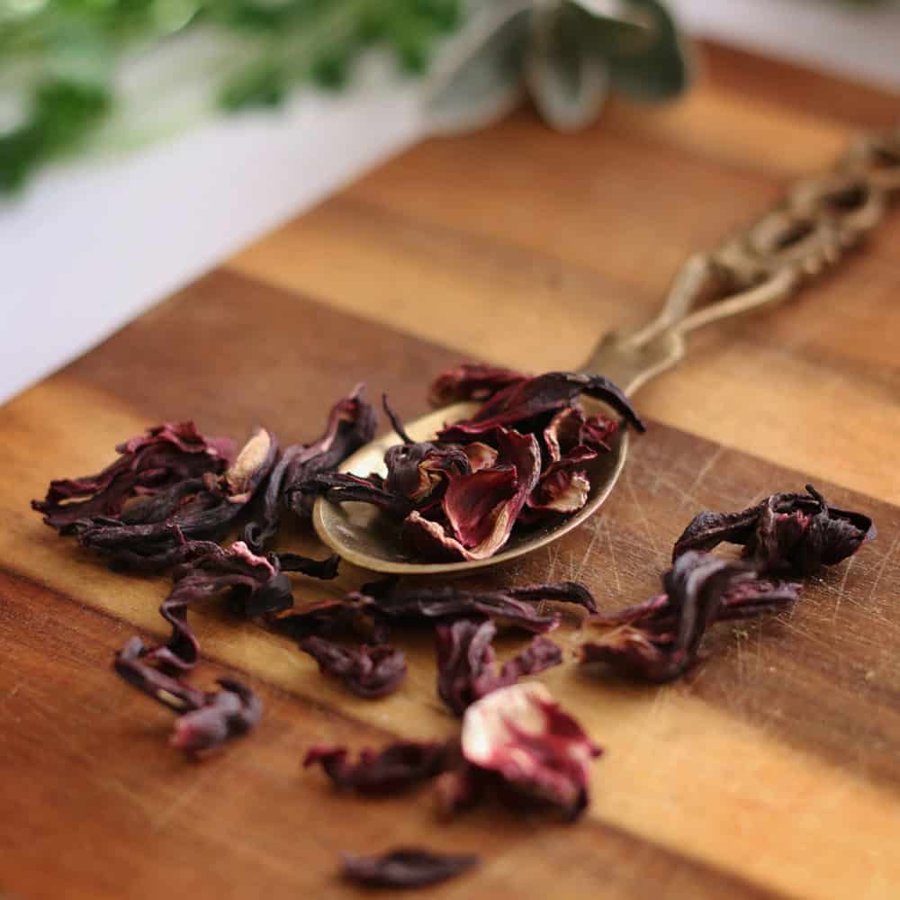 Hibiscus Flower Tea LooseLeaf Tea Teapro