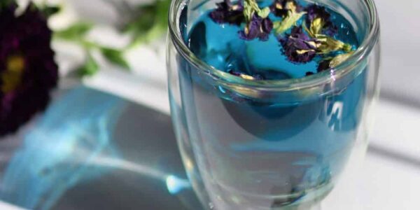 Butterfly Pea Tea Benefits