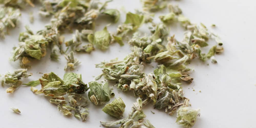 greek mountain tea, herbal tea blending, base herbs for tea, herbs for tea blending, DIY herbal tea blends, rooibos tea benefits, yerba mate benefits, chamomile tea benefits, butterfly pea tea benefits, lotus leaf tea benefits, how to blend herbal tea