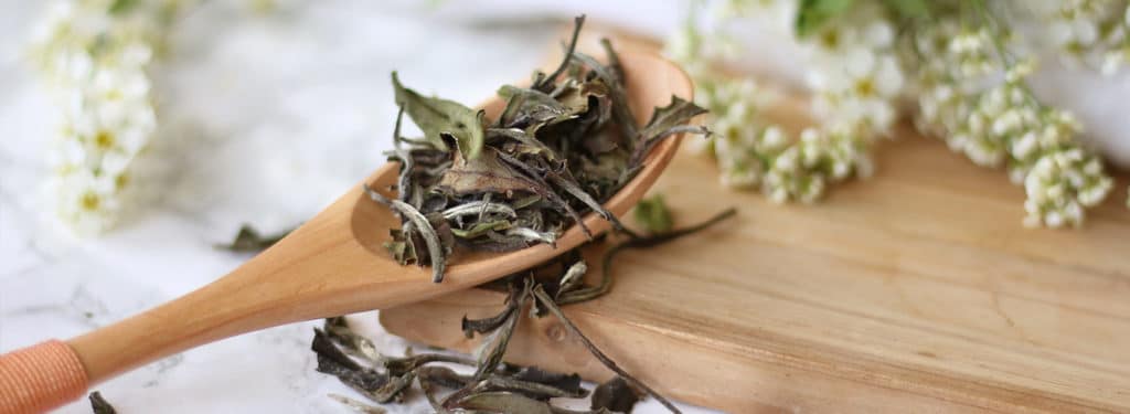 bai mu dan white peony - silver needle vs bai mu dan