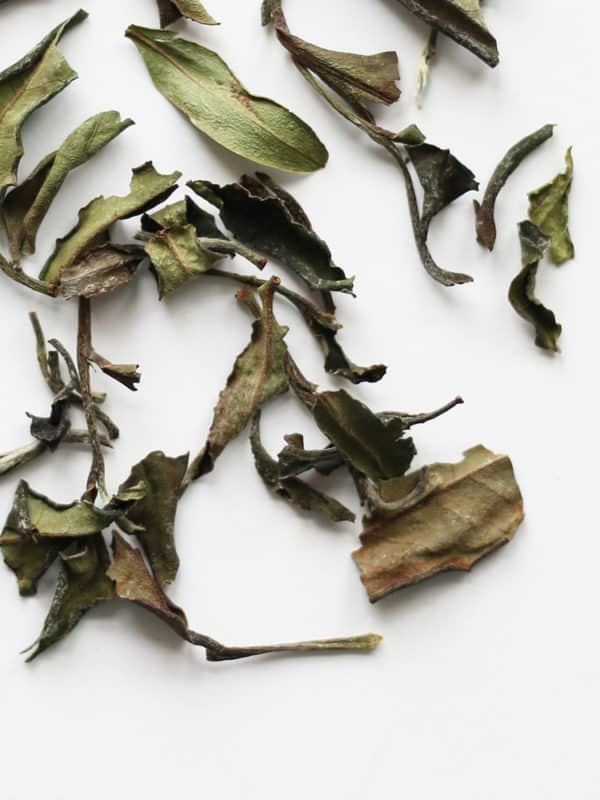 white peony white tea
