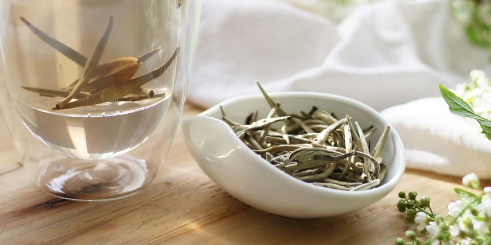 what is white tea - silver needle white tea