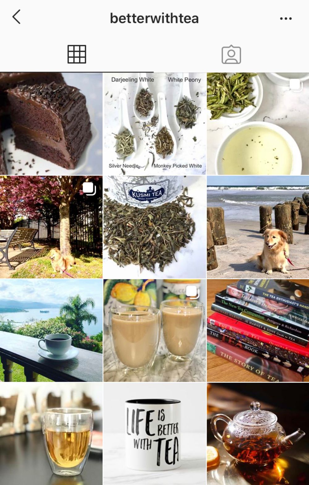 tea journey instagram