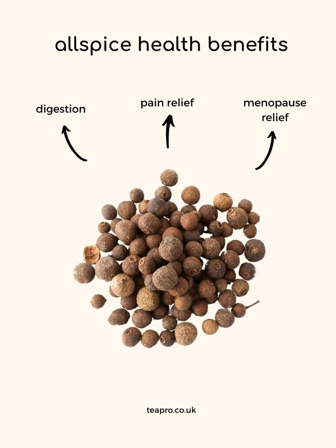 Chai Tea Spices and their Health Benefits Teapro