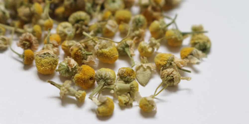 herbal tea blending, base herbs for tea, herbs for tea blending, DIY herbal tea blends, rooibos tea benefits, yerba mate benefits, chamomile tea benefits, butterfly pea tea benefits, lotus leaf tea benefits, how to blend herbal tea