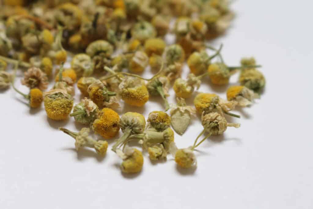 herbal tea blending, base herbs for tea, herbs for tea blending, DIY herbal tea blends, rooibos tea benefits, yerba mate benefits, chamomile tea benefits, butterfly pea tea benefits, lotus leaf tea benefits, how to blend herbal tea