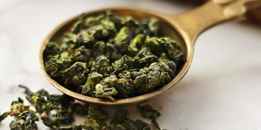 lightly oxidized - light vs dark oolong-what is ben shan oolong