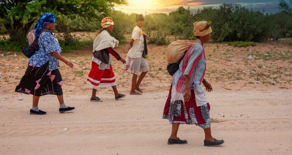 Rooibos - South African Khoi San People