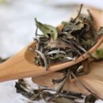 White Tea Processing