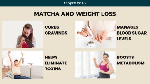 Matcha Powder Benefits Beyond the Cup