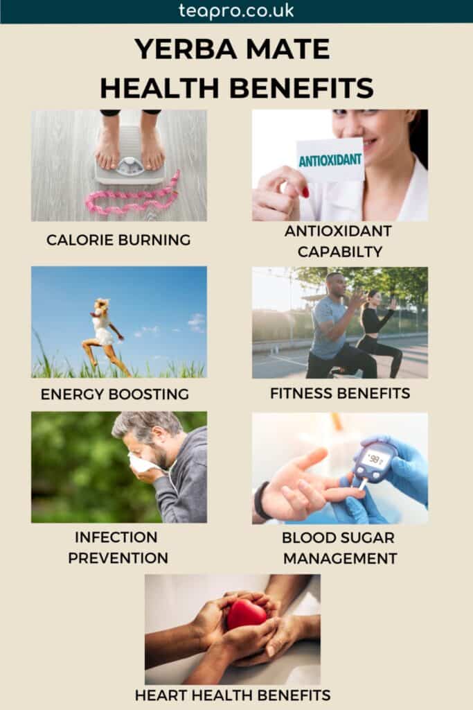 health benefits of Yerba Mate