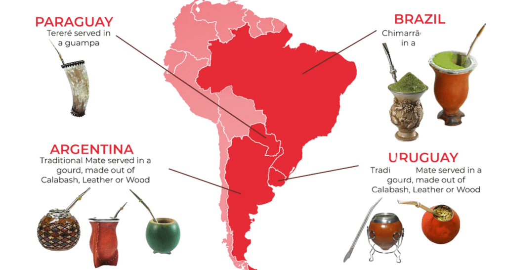 Yerba Mate - Beginners Guide to Brewing – Mission