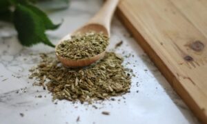 yerba mate for weight loss