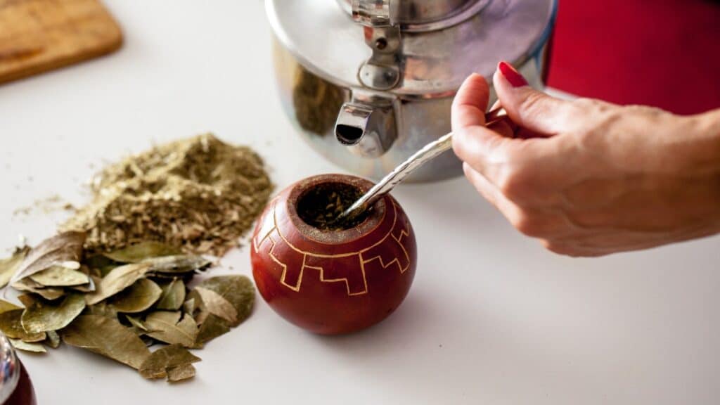 Yerba Mate Tea Health Benefits and How to Make Properly - Oh, How