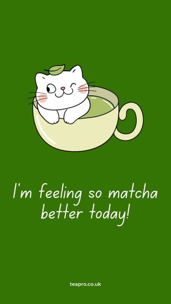 Tea Quotes - I'm feeling so matcha better today - Tea Puns