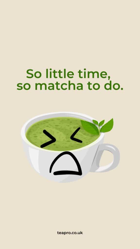Tea Quotes - So Little Time, So matcha to do - Tea Puns