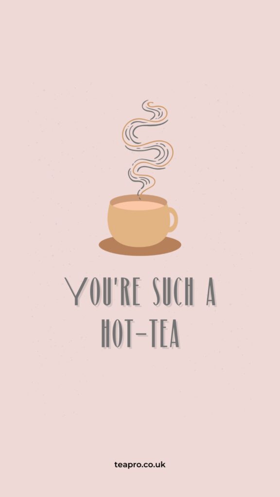 This is a tea pun with the title " you're such a hot-tea" and a cup of hot tea as a sticker