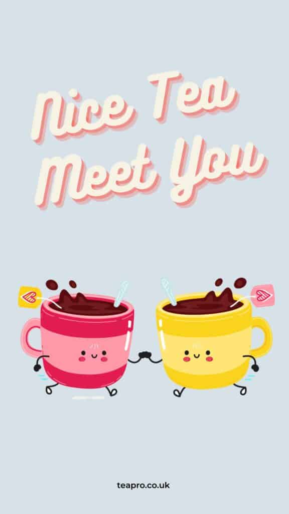 This is a Tea pun with the title "nice tea meet you" with 2 tea cups smiling and shaking hands
