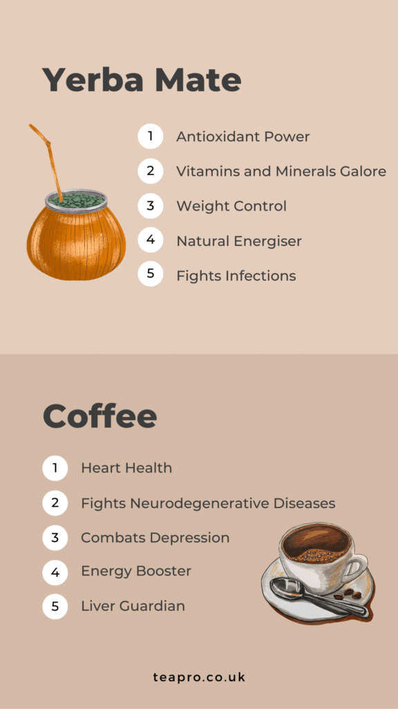 A Guide to Different Types of Yerba Mate: How to Choose the Best One f –  L'Española