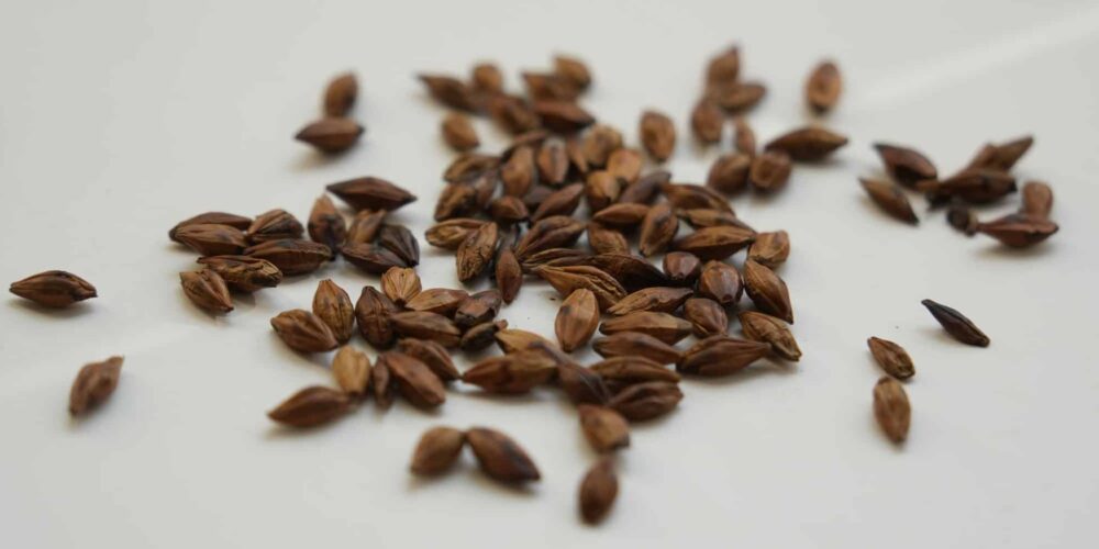 herbal tea blending, base herbs for tea, herbs for tea blending, DIY herbal tea blends, rooibos tea benefits, yerba mate benefits, chamomile tea benefits, butterfly pea tea benefits, lotus leaf tea benefits, how to blend herbal tea, barley tea