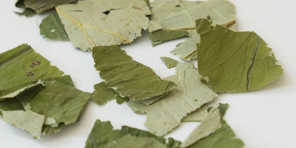 Lotus Leaf Tea - weight management tea, herbal tea blending, base herbs for tea, herbs for tea blending, DIY herbal tea blends, rooibos tea benefits, yerba mate benefits, chamomile tea benefits, butterfly pea tea benefits, lotus leaf tea benefits, how to blend herbal tea