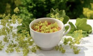 Lady's Mantle Tea mocktail recipes