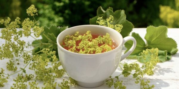 Lady's Mantle Tea mocktail recipes