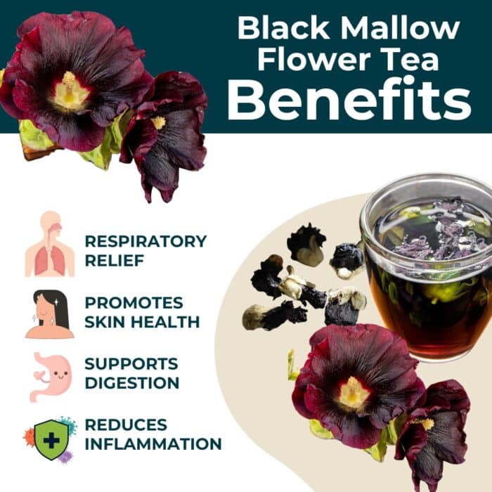 Mallow Tree Intea Black Mallow Flower Tea - Natural Sore Throat Relief & Calm