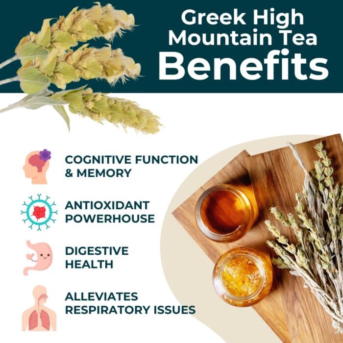 Greek Mountain Tea – Sideritis Herbal Tea | Teapro