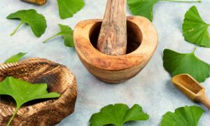 Health Benefits of gingko biloba