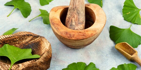 Health Benefits of gingko biloba