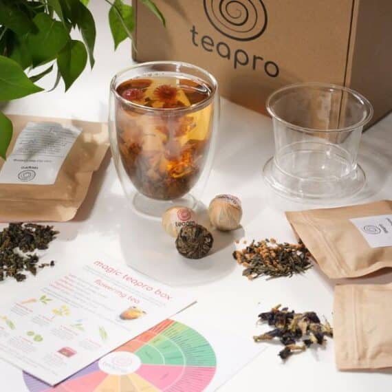 best loose leaf tea starter kit for beginners