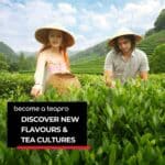 Become a teapro: educational loose leaf tea journey