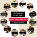 Become a teapro: educational loose leaf tea gift set for tea lovers