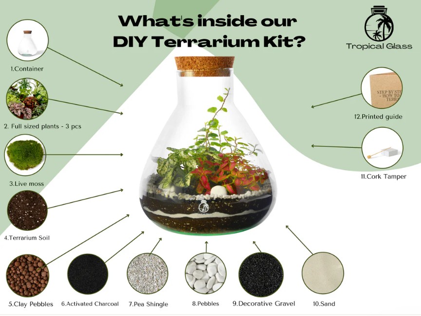 diy terrarium kit