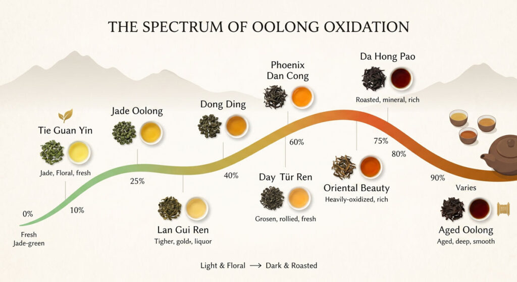 Dark vs light oolong - oxidation levels