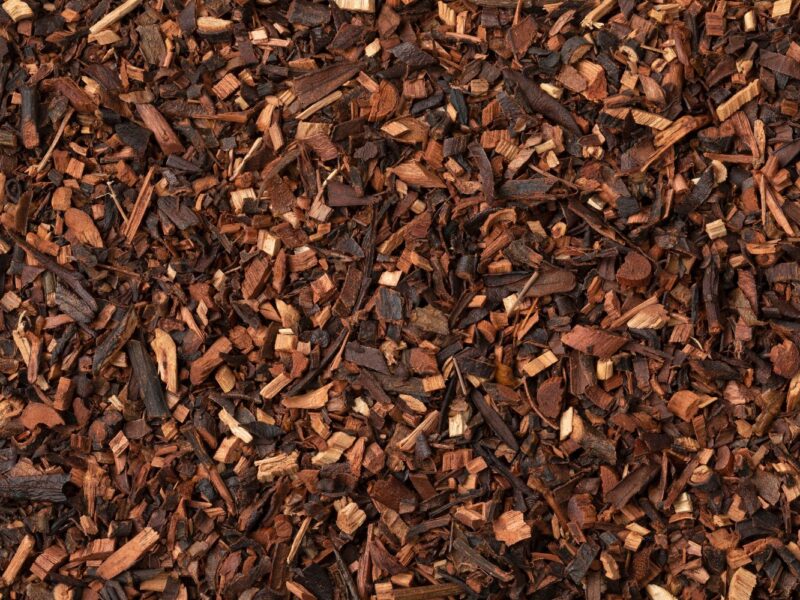 Honeybush - Rooibos vs Honeybush