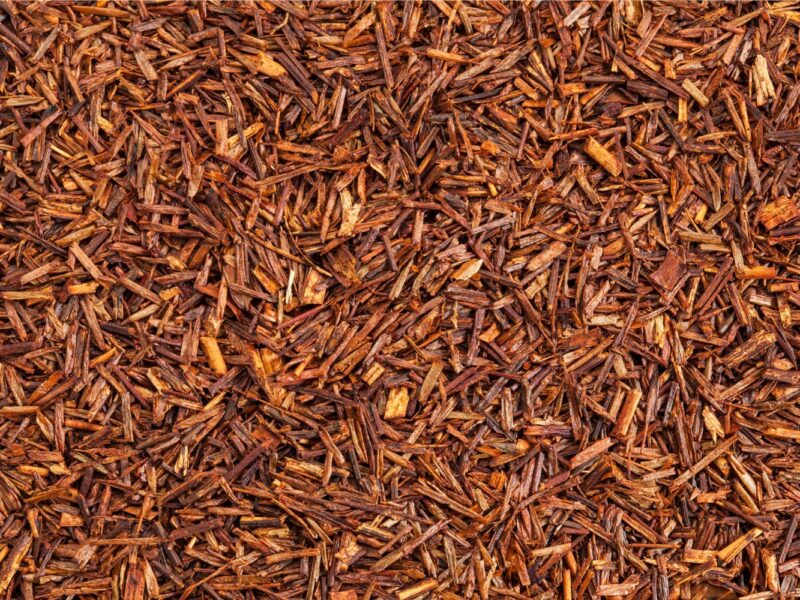 Red Rooibos Rooibos vs Honeybush