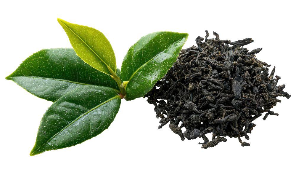 what is black tea - the complete guide to UKs favourite loose leaf - advantage of drinking black tea- advantages of black tea- advantages of drinking black tea- is drinking black tea healthy- black tea is good for health- is black tea good for- black tea is good for