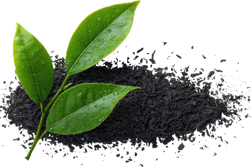 why black tea benefits add up -black tea benefits-advantage of drinking black tea- advantages of black tea- advantages of drinking black tea- is drinking black tea healthy- black tea is good for health- is black tea good for- black tea is good for