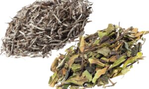 featured image - silver needle vs bai mu dan
