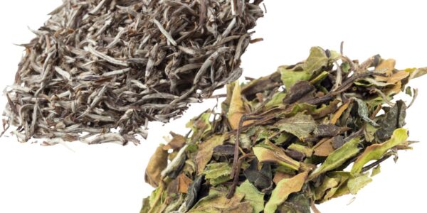 featured image - silver needle vs bai mu dan